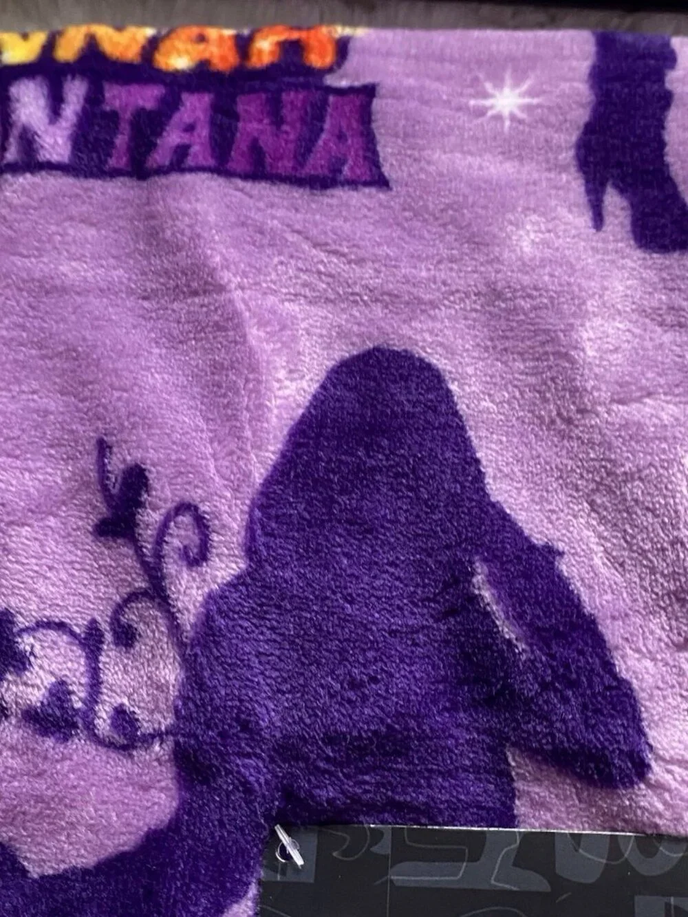 Disney hannah montana